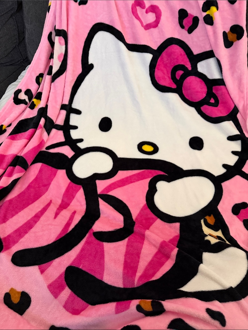 Hello Kitty Pink Character Plush Throw Blanket